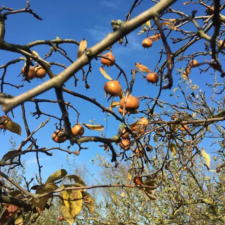 Warmoes Tuinderswoning Nijmegen