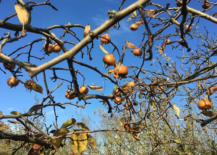 Warmoes Tuinderswoning Nijmegen