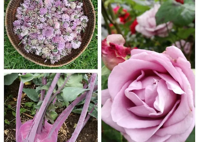 Nyaraló Warmoes Tuinderswoning Nijmegen