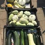 Warmoes Tuinderswoning *